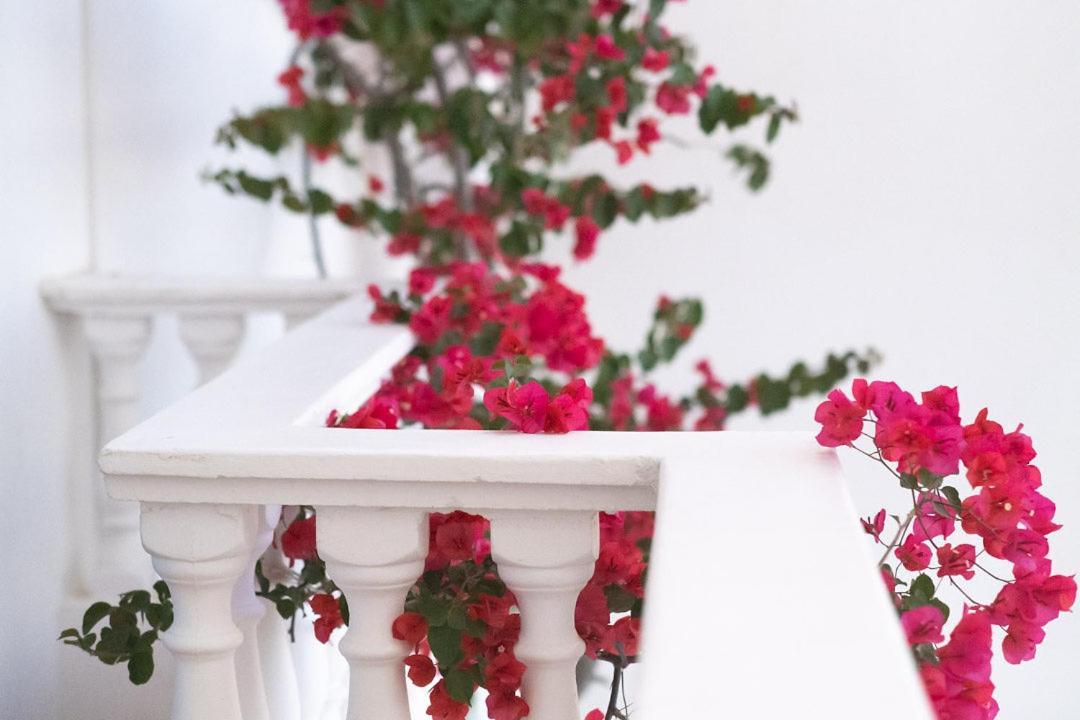 Hotel Harmony Saranda