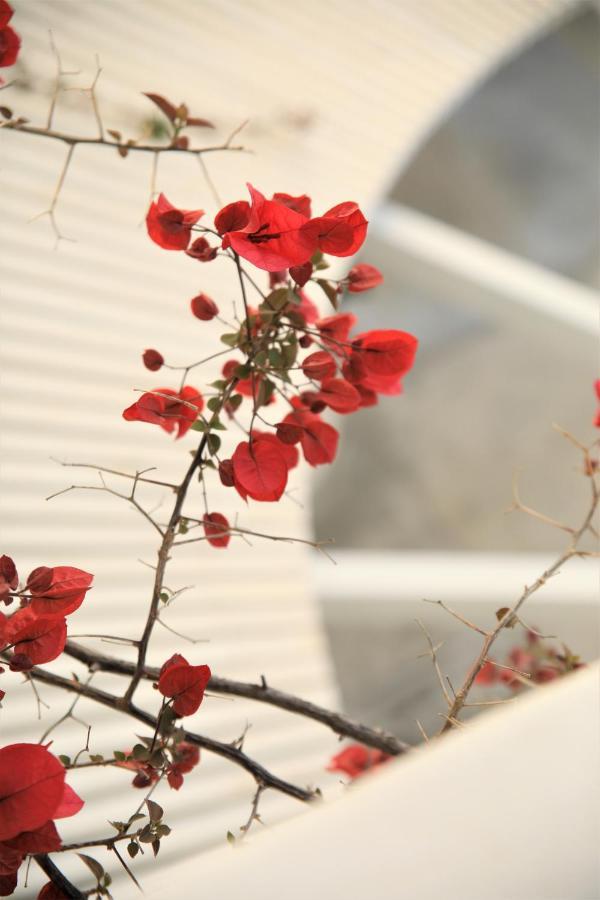 Hotel Harmony Saranda